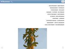 Tablet Screenshot of netzpunkt-zimlisberg.ch